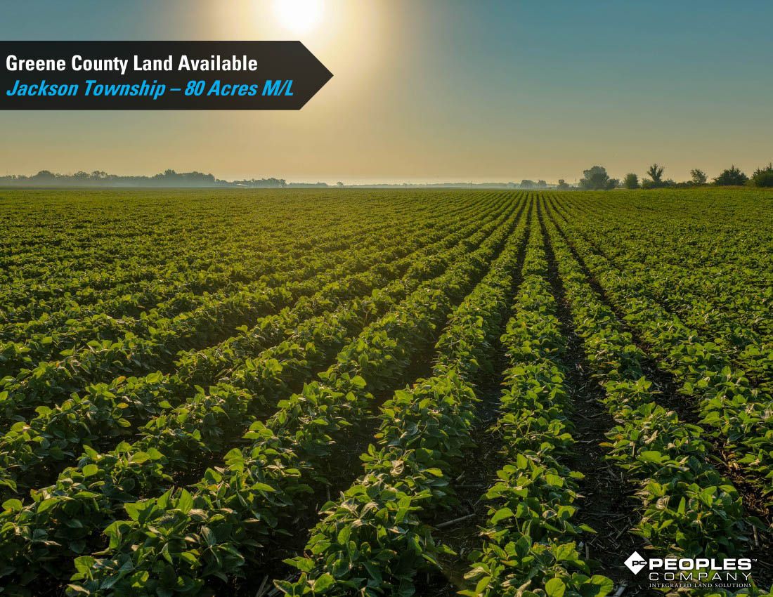 Listing Photo: Greene-County-Iowa-Farmland-Available-80-Acres-Scranton-Jefferson-19706 (10)